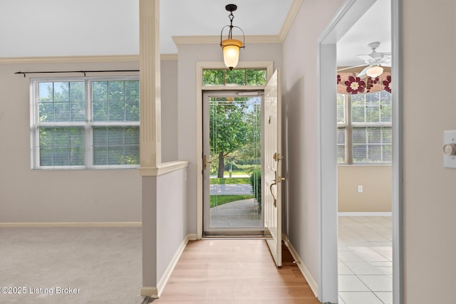 1208 Elderberry Ln, Louisville, KY 40243 - photo 5