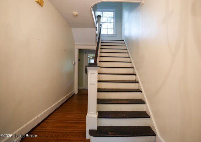 1722 Windsor Pl, Louisville, KY 40204 - photo 12