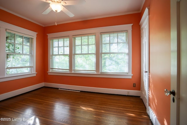 1722 Windsor Pl, Louisville, KY 40204 - photo 20