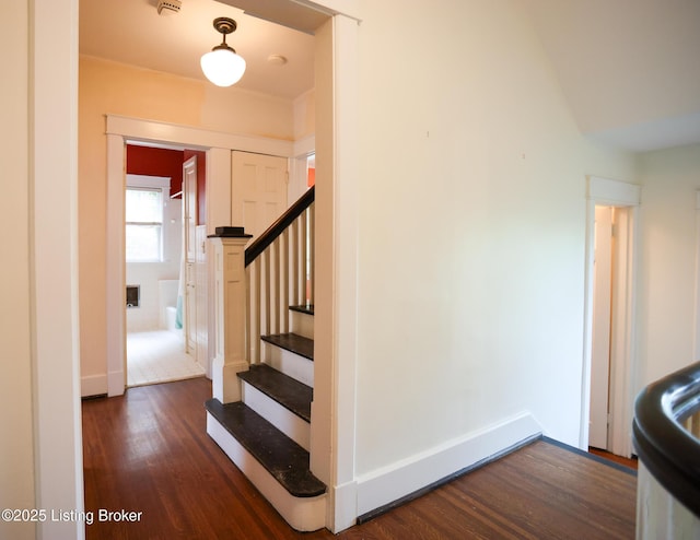 1722 Windsor Pl, Louisville, KY 40204 - photo 22