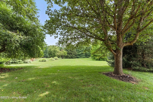 7404 Cedar Bluff Ct, Prospect, KY 40059 - photo 81