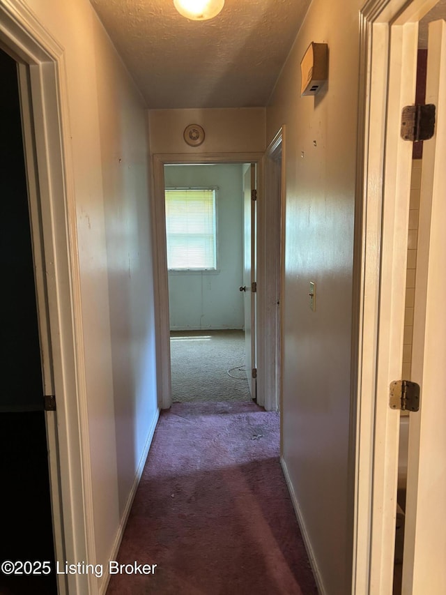 1111 Joyce Ct, Crestwood, KY 40014 - photo 10