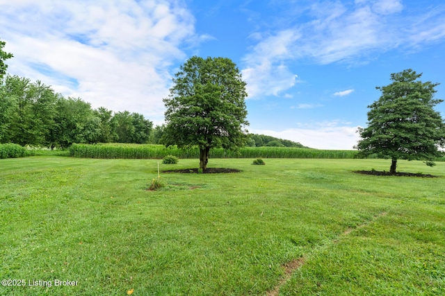370 Hillspring Rd, Eminence, KY 40019 - photo 32