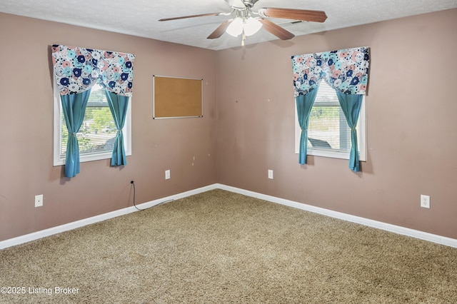 1290 Holt Ridge Rd, Bloomfield, KY 40008 - photo 27
