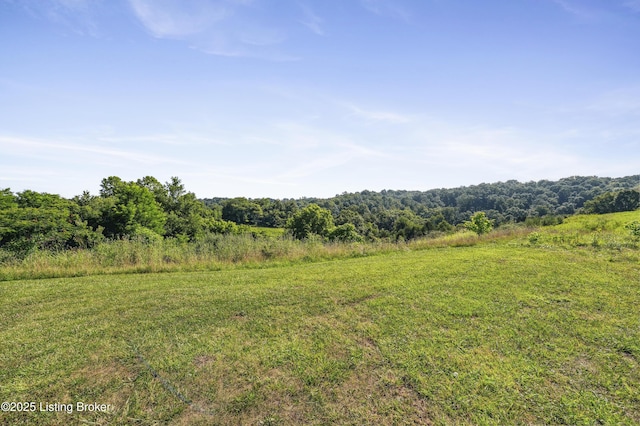 1290 Holt Ridge Rd, Bloomfield, KY 40008 - photo 44