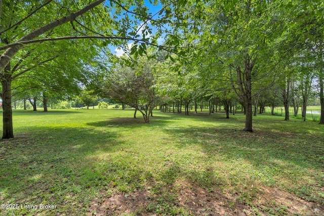 2929 Elmburg Rd, Shelbyville, KY 40065 - photo 50