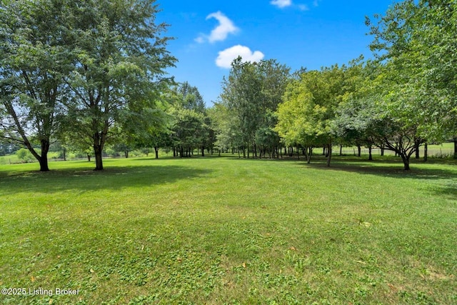 2929 Elmburg Rd, Shelbyville, KY 40065 - photo 51