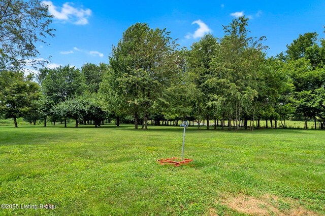 2929 Elmburg Rd, Shelbyville, KY 40065 - photo 52