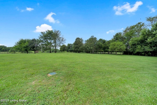 2929 Elmburg Rd, Shelbyville, KY 40065 - photo 54
