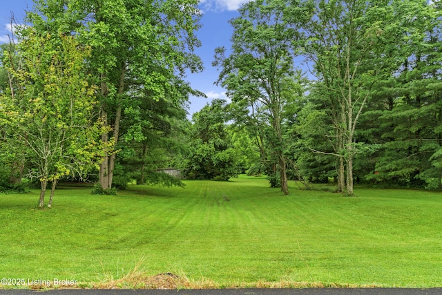 4603 Evergreen Rd, Crestwood, KY 40014 - photo 10