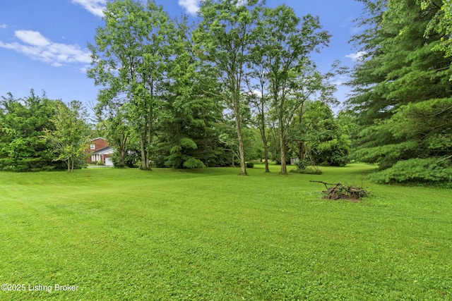 4603 Evergreen Rd, Crestwood, KY 40014 - photo 11