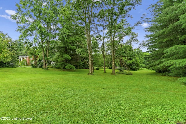 4603 Evergreen Rd, Crestwood, KY 40014 - photo 4