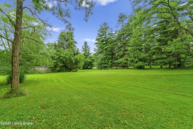 4603 Evergreen Rd, Crestwood, KY 40014 - photo 6