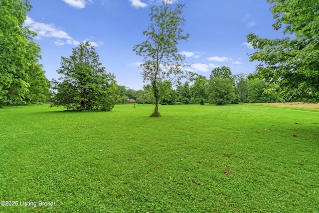 4603 Evergreen Rd, Crestwood, KY 40014 - photo 5