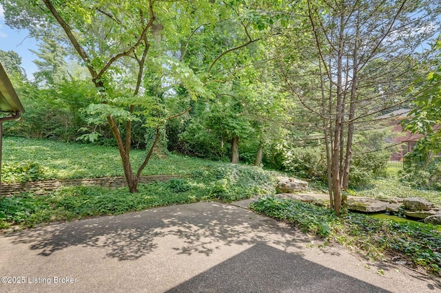 2403 Chadford Way, Louisville, KY 40222 - photo 5