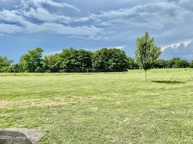 852 Colbert Ln, Bedford, KY 40006 - photo 9