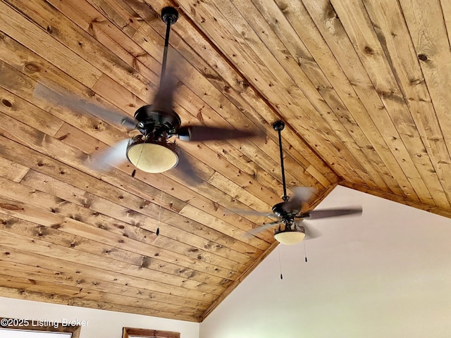 852 Colbert Ln, Bedford, KY 40006 - photo 13