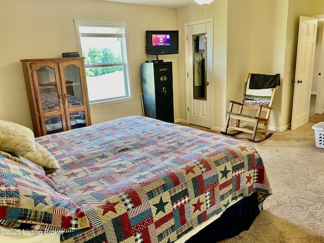 852 Colbert Ln, Bedford, KY 40006 - photo 33