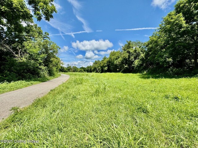 1 Long Lick Ln, Springfield, KY 40069 - photo 1