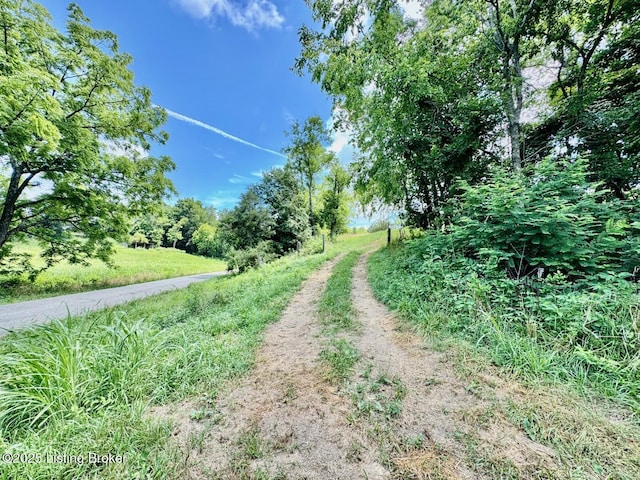 1 Long Lick Ln, Springfield, KY 40069 - photo 2
