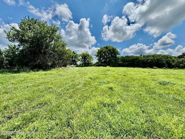 1 Long Lick Ln, Springfield, KY 40069 - photo 3