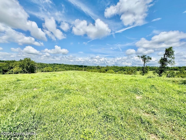 1 Long Lick Ln, Springfield, KY 40069 - photo 4