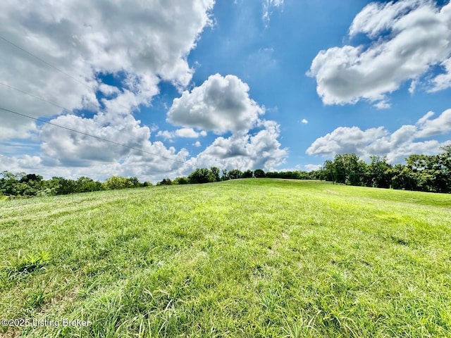 1 Long Lick Ln, Springfield, KY 40069 - photo 5