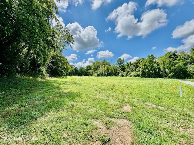 1 Long Lick Ln, Springfield, KY 40069 - photo 6