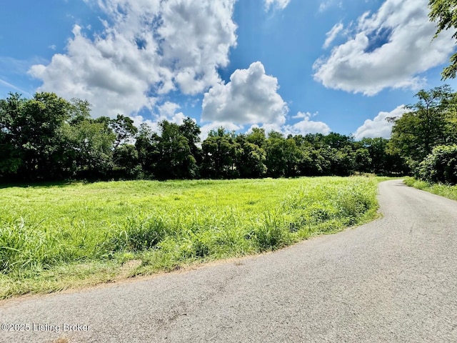 1 Long Lick Ln, Springfield, KY 40069 - photo 7