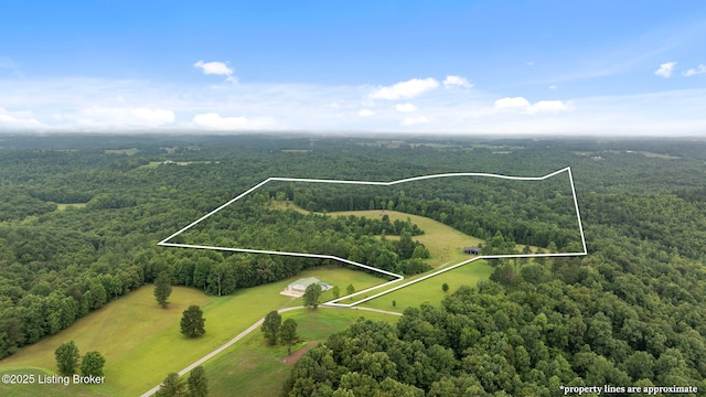 0 Elmore Rd, Bee Springs, KY 42207 - photo 1