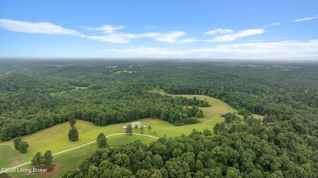 0 Elmore Rd, Bee Springs, KY 42207 - photo 2