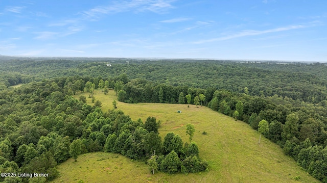 0 Elmore Rd, Bee Springs, KY 42207 - photo 5