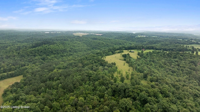 0 Elmore Rd, Bee Springs, KY 42207 - photo 6