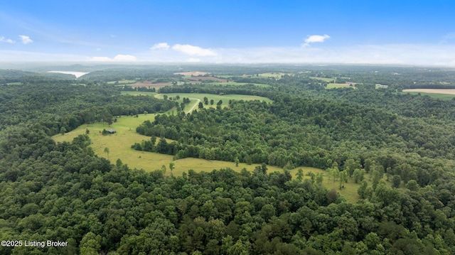 0 Elmore Rd, Bee Springs, KY 42207 - photo 7