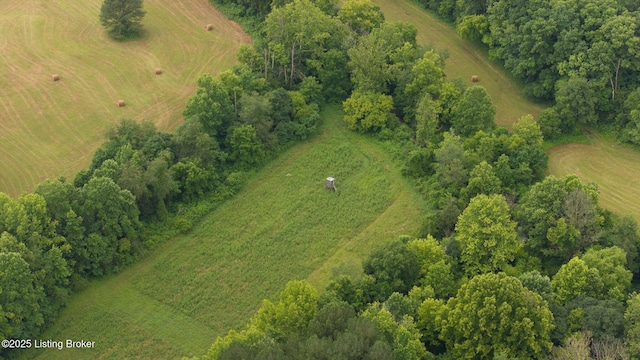 0 Elmore Rd, Bee Springs, KY 42207 - photo 8