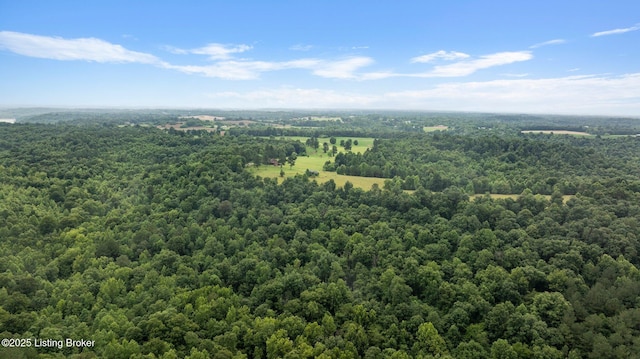 0 Elmore Rd, Bee Springs, KY 42207 - photo 10