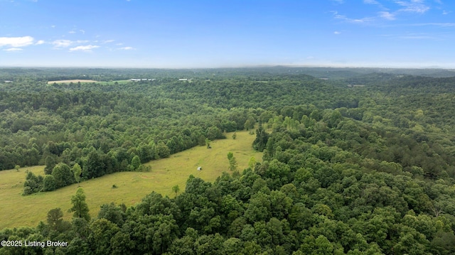 0 Elmore Rd, Bee Springs, KY 42207 - photo 11