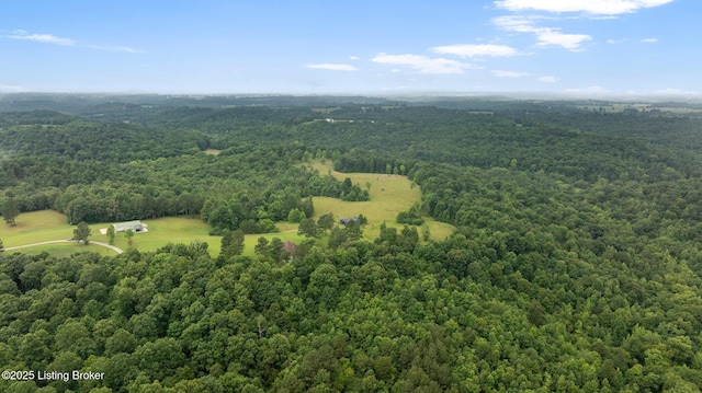 0 Elmore Rd, Bee Springs, KY 42207 - photo 12