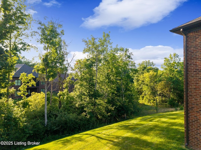 2434 Middle Creek Ct, Louisville, KY 40023 - photo 51