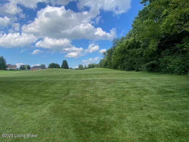 133 Twin Oaks Dr, Bardstown, KY 40004 - photo 36