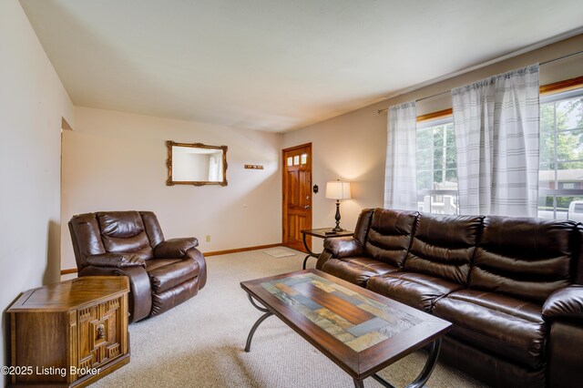 9006 Aristides Dr, Louisville, KY 40258 - photo 9
