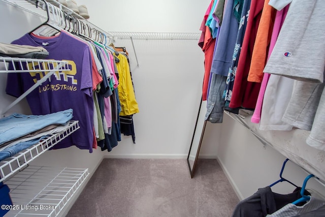 8500 Ambrosse Ln Unit 102, Louisville, KY 40299 - photo 30
