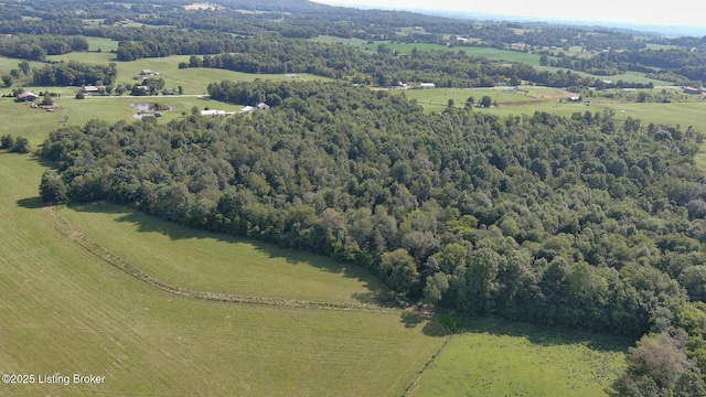 9755 Hardyville Rd, Hardyville, KY 42746 - photo 70