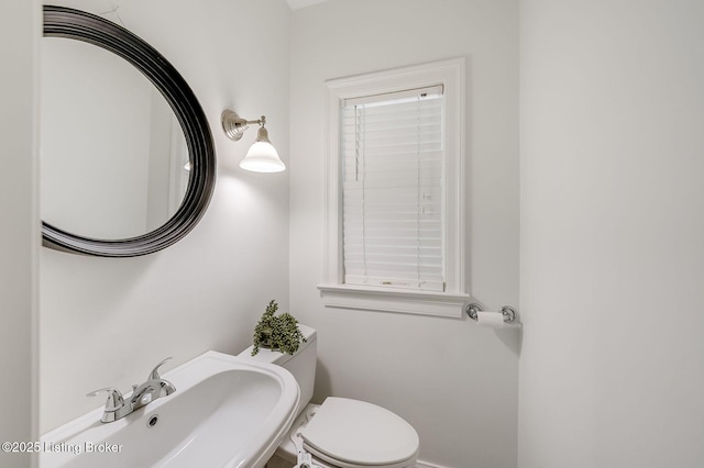2425 Newburg Rd, Louisville, KY 40205 - photo 14