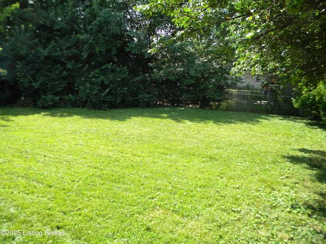 5202 Rookwood Ave, Louisville, KY 40218 - photo 23