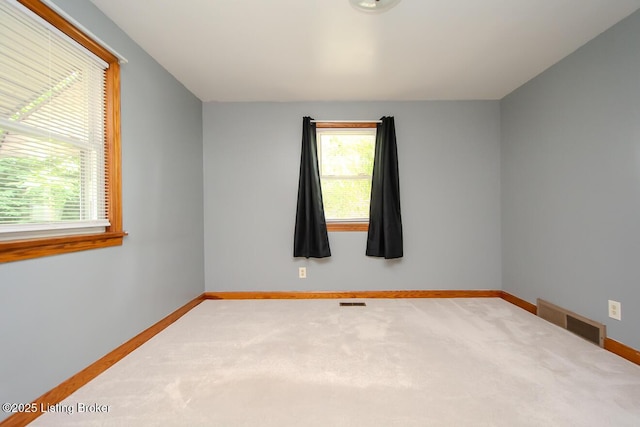 4928 Swaps Ln, Louisville, KY 40216 - photo 19