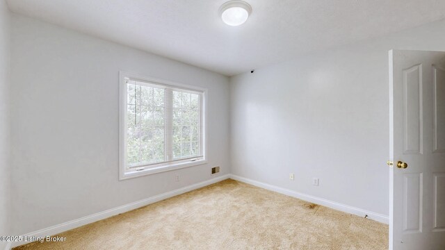 4301 Juniper Forest Pl, Louisville, KY 40245 - photo 26