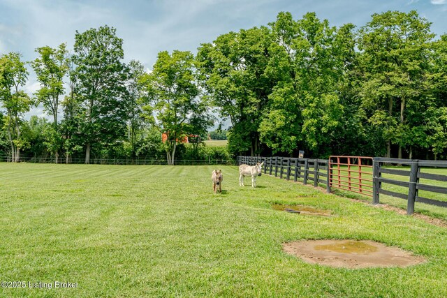 4525 Eminence Pike, Shelbyville, KY 40065 - photo 43