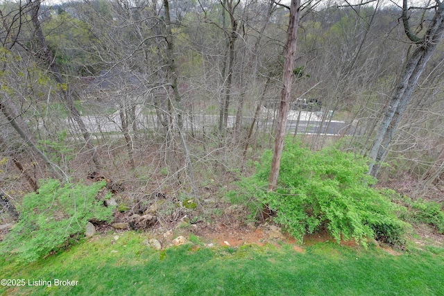 178 Bluffs Edge Dr, Mt Washington, KY 40047 - photo 53