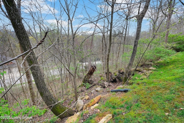 178 Bluffs Edge Dr, Mt Washington, KY 40047 - photo 56